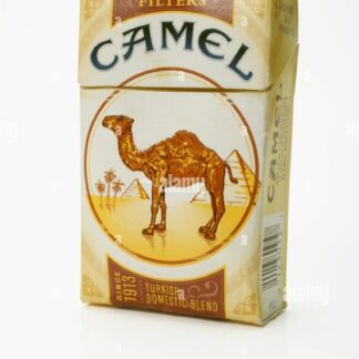 Camel Box PACK