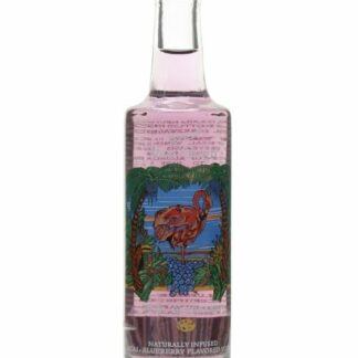 Van Gogh Blueberry Mini 50ML