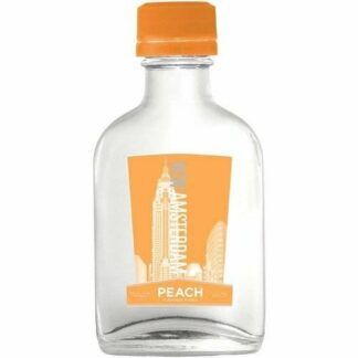 New Amsterdam Peach Vodka 100ML
